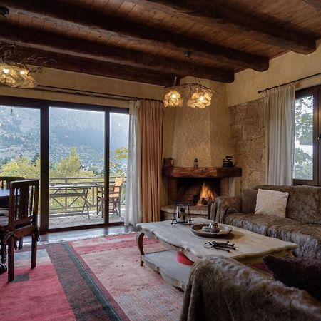 Parnassus Dreamwood Chalet Eptálofos المظهر الخارجي الصورة