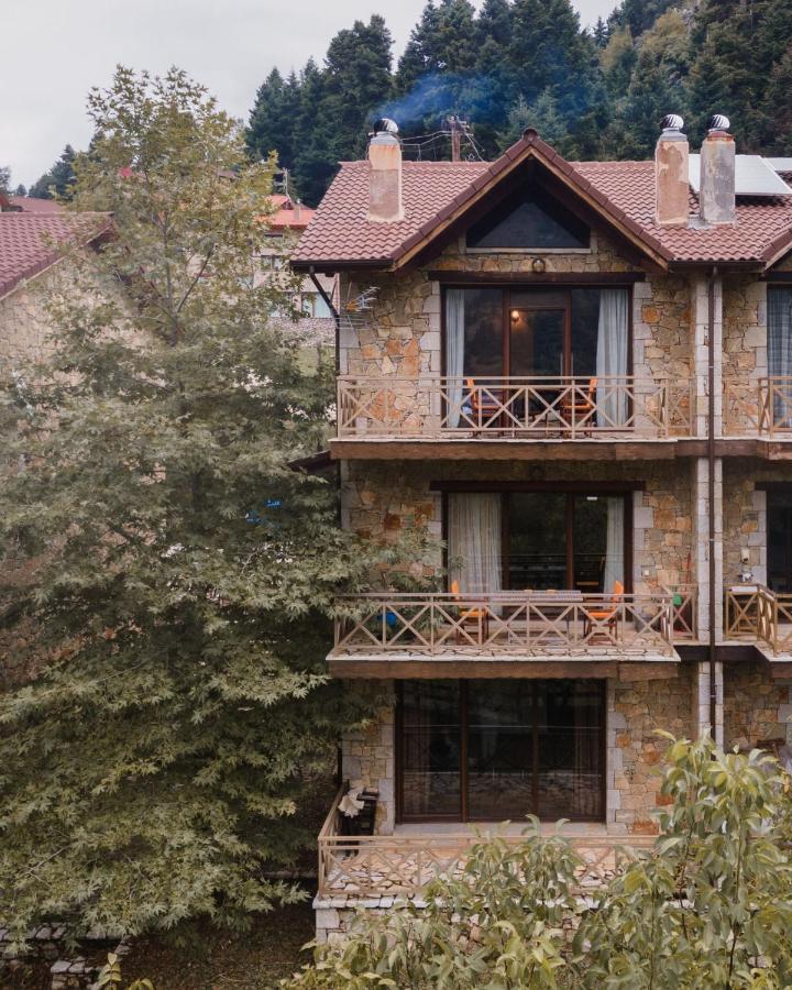 Parnassus Dreamwood Chalet Eptálofos المظهر الخارجي الصورة